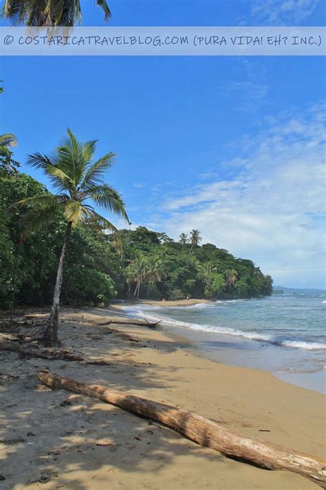 playa chiquita costa rica|[2024] Photos of Playa Chiquita Costa Rica (Caribbean) From Our ...